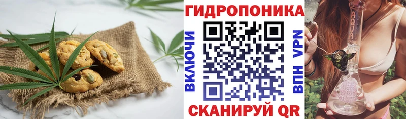 Печенье с ТГК марихуана  наркошоп  Дмитровск 