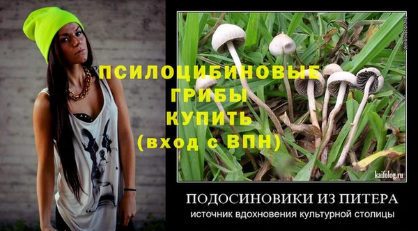 гашик Абаза